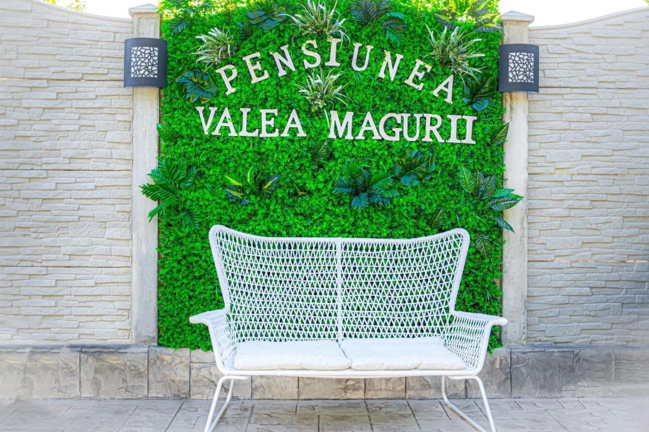Pensiunea Valea Magurii Novaci-Străini Extérieur photo