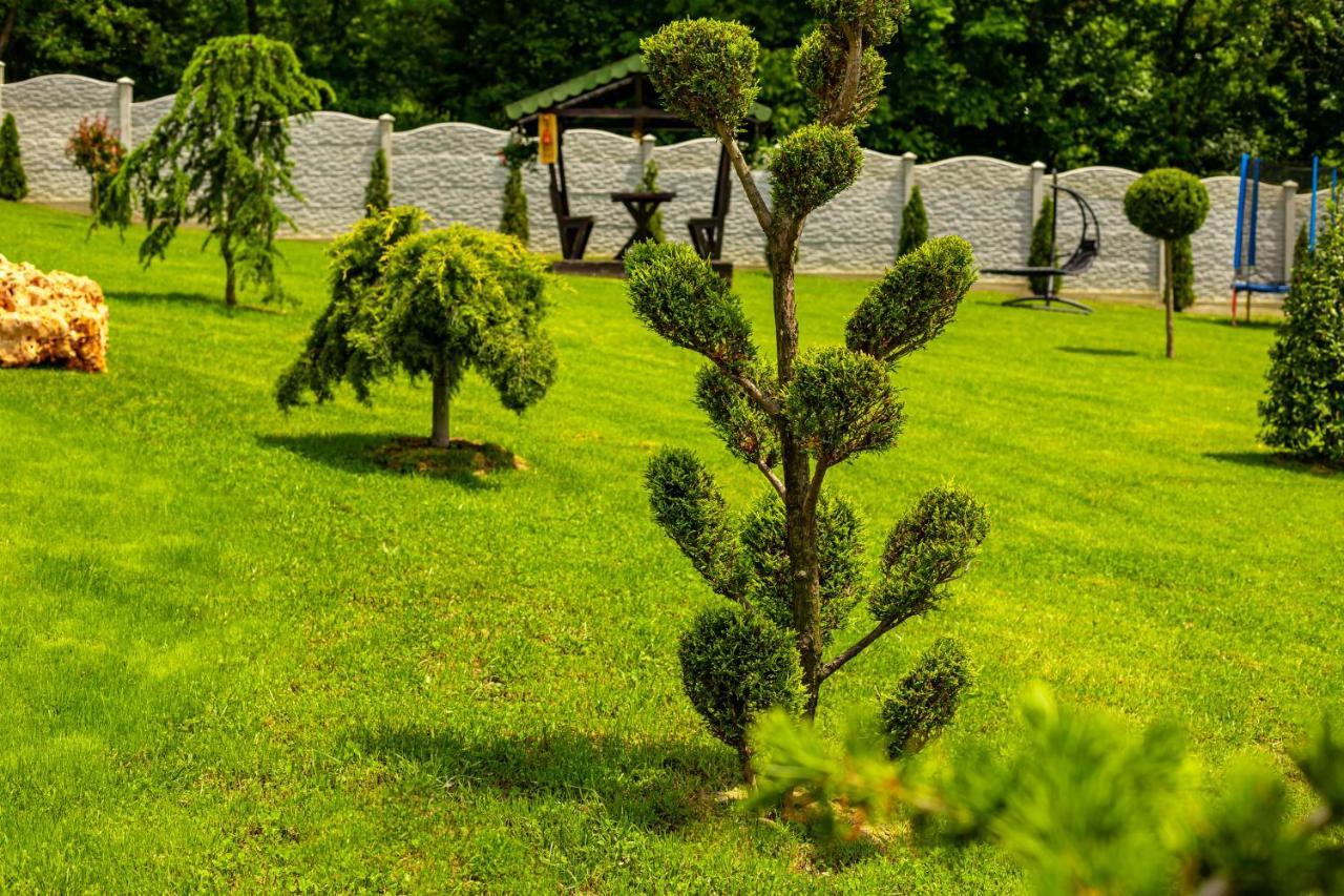 Pensiunea Valea Magurii Novaci-Străini Extérieur photo